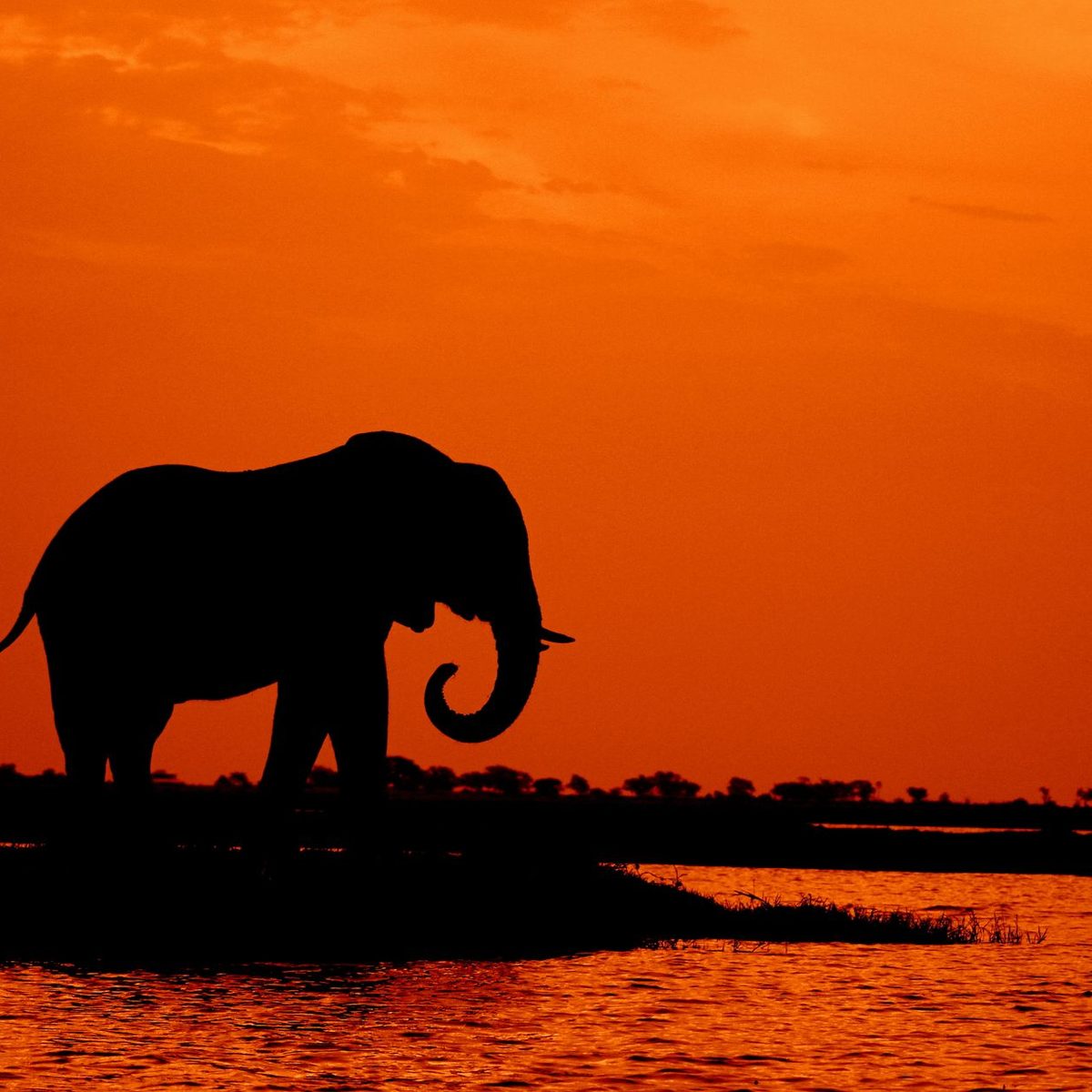 Botswana - Roamex | Buy eSIM for International Travel