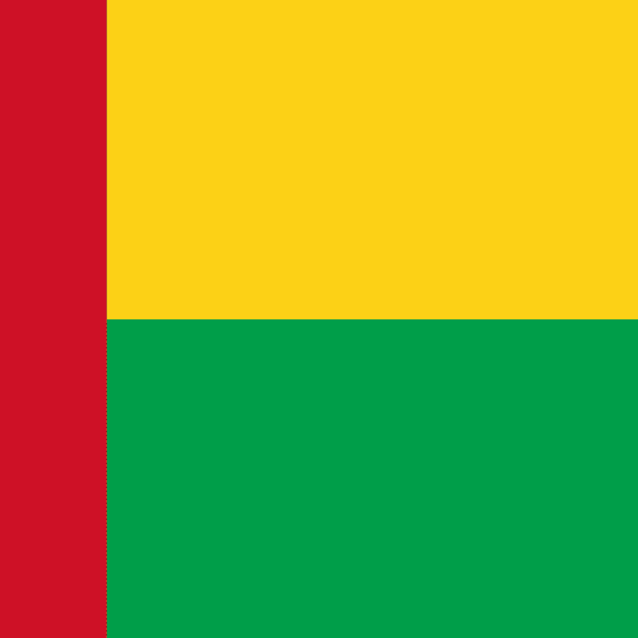Guinea-Bissau flag