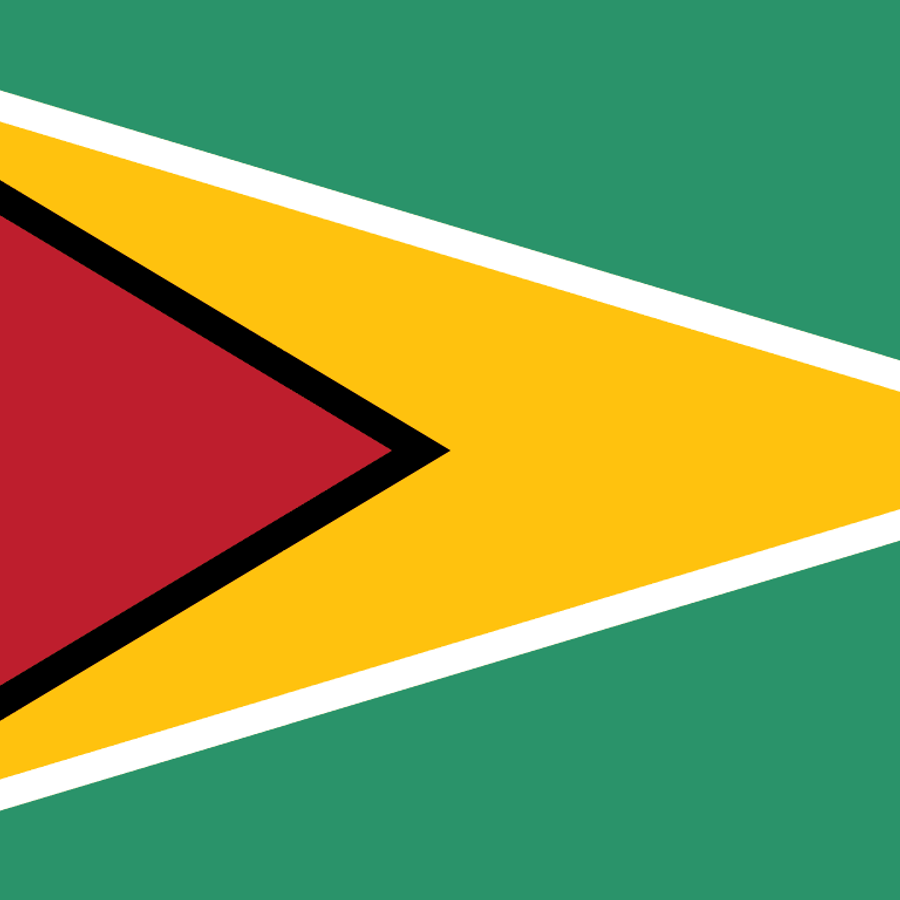 Guyana flag