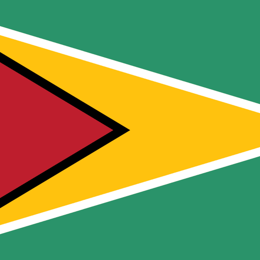 Guyana flag