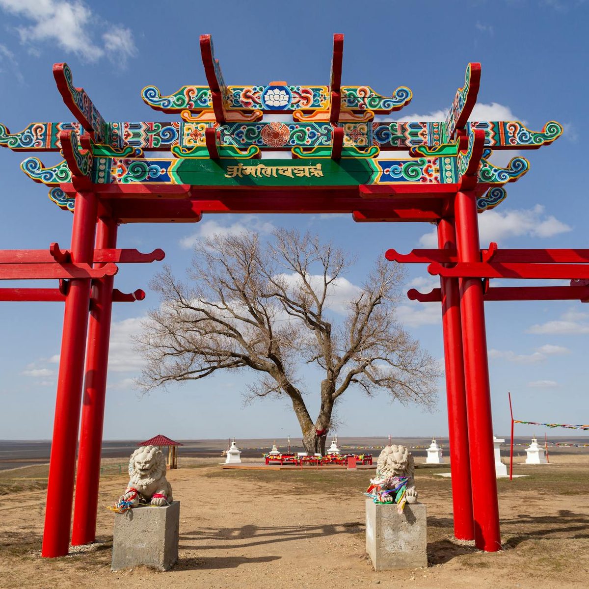 Mongolia - Roamex | Buy eSIM for International Travel