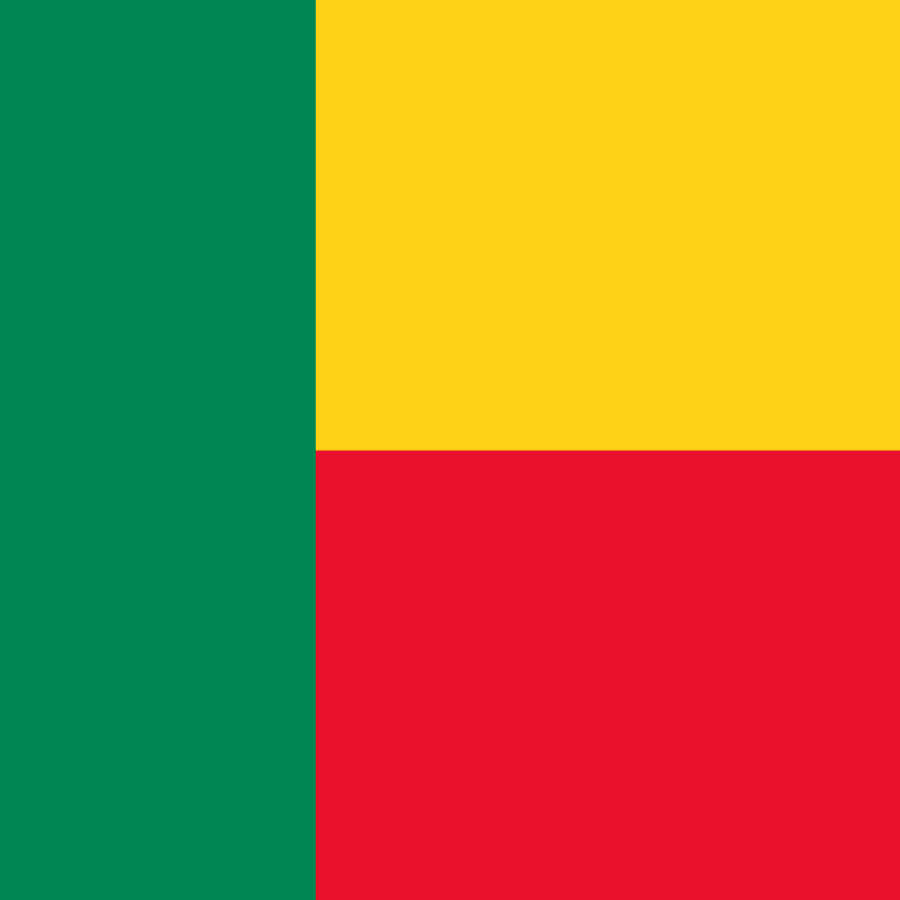 Benin flag