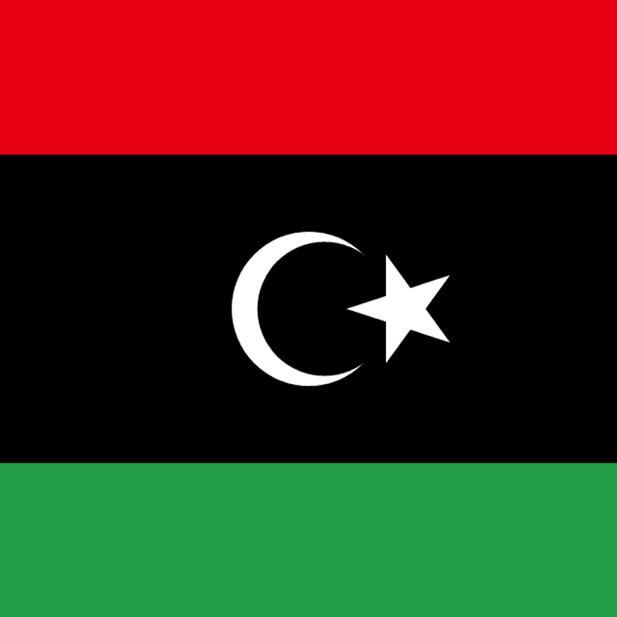 Libya flag