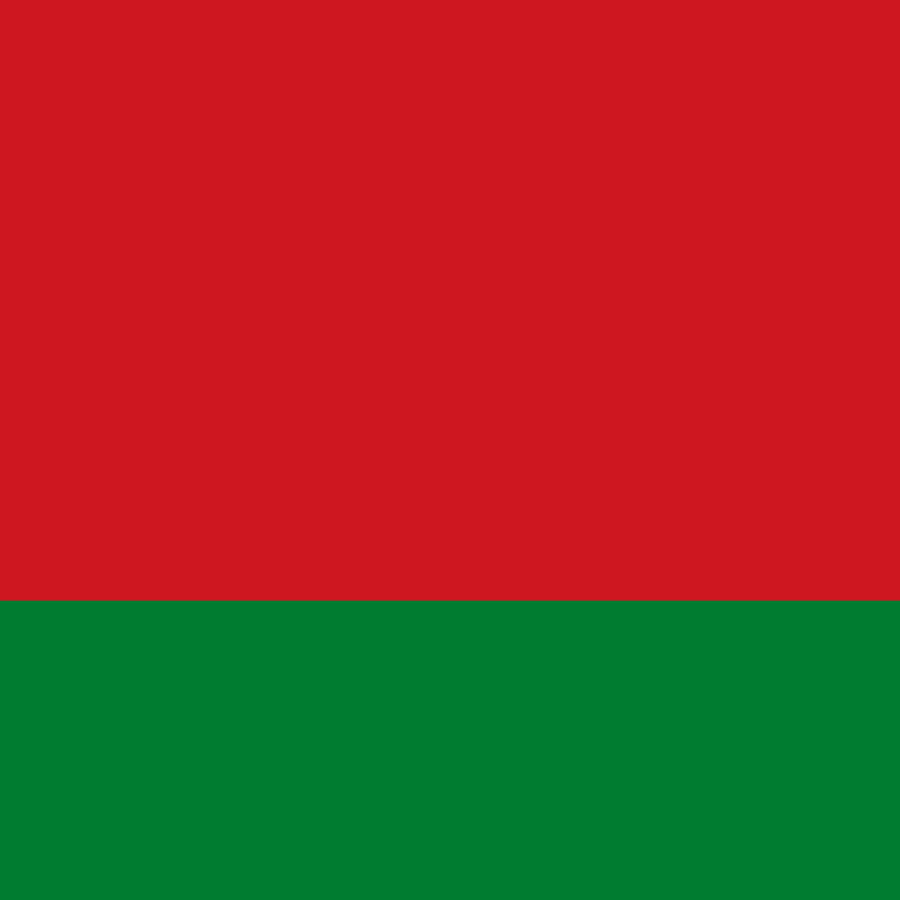 Belarus flag