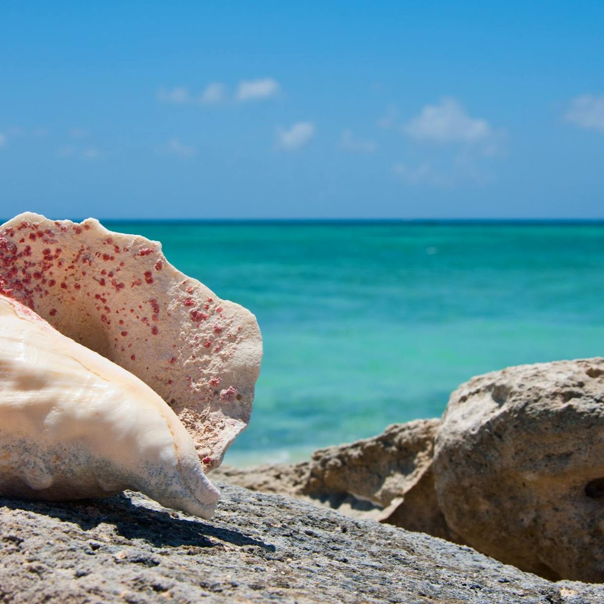 Turks and Caicos Islands - Roamex | Buy eSIM for International Travel