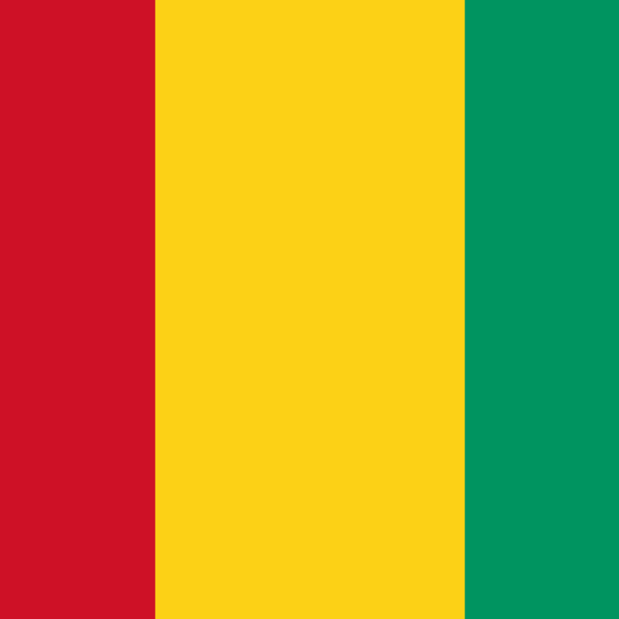Guinea flag