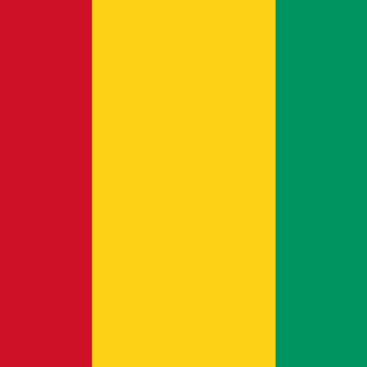 Guinea flag