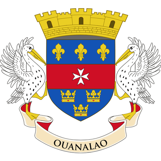 Saint Barthelemy flag
