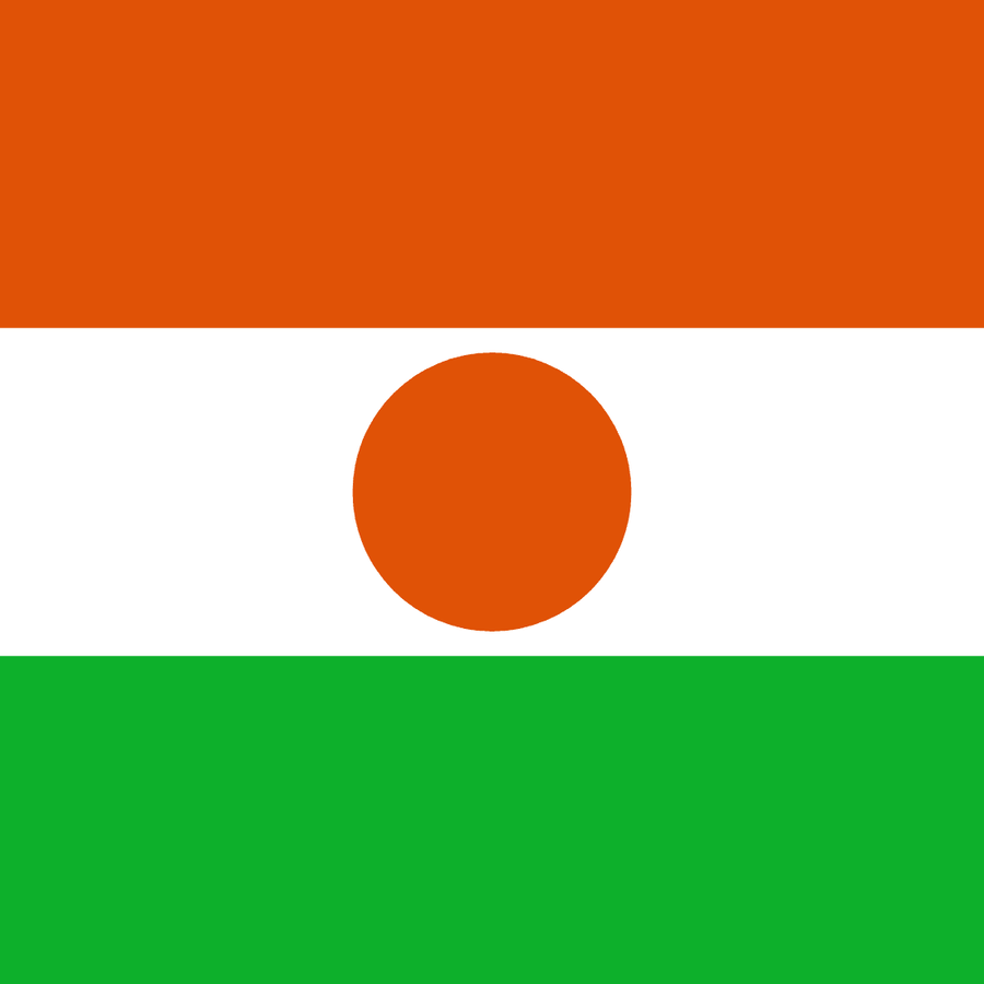 Niger flag