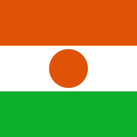 Niger flag