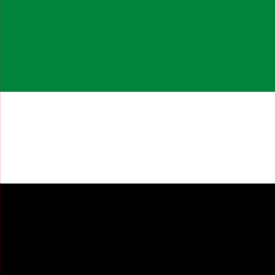 United Arab Emirates flag