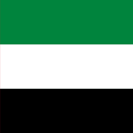 United Arab Emirates flag