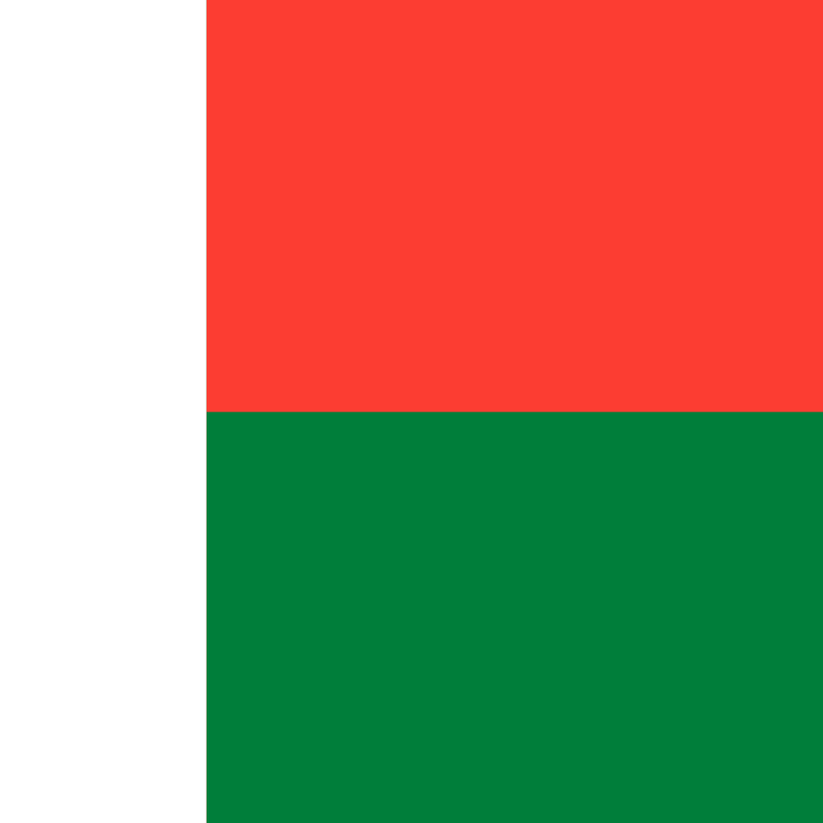 Madagascar flag