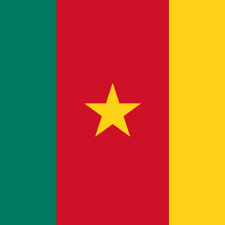 Cameroon flag
