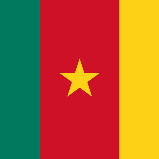Cameroon flag