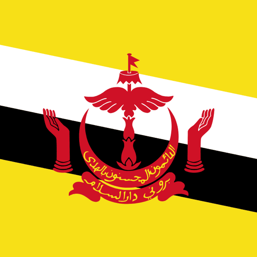 Brunei Darussalam flag